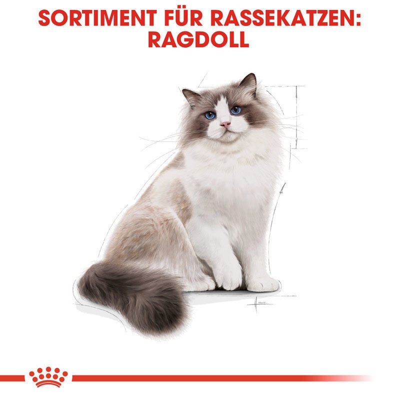 Royal Canin Ragdoll Adult Katzenfutter trocken Bild 5