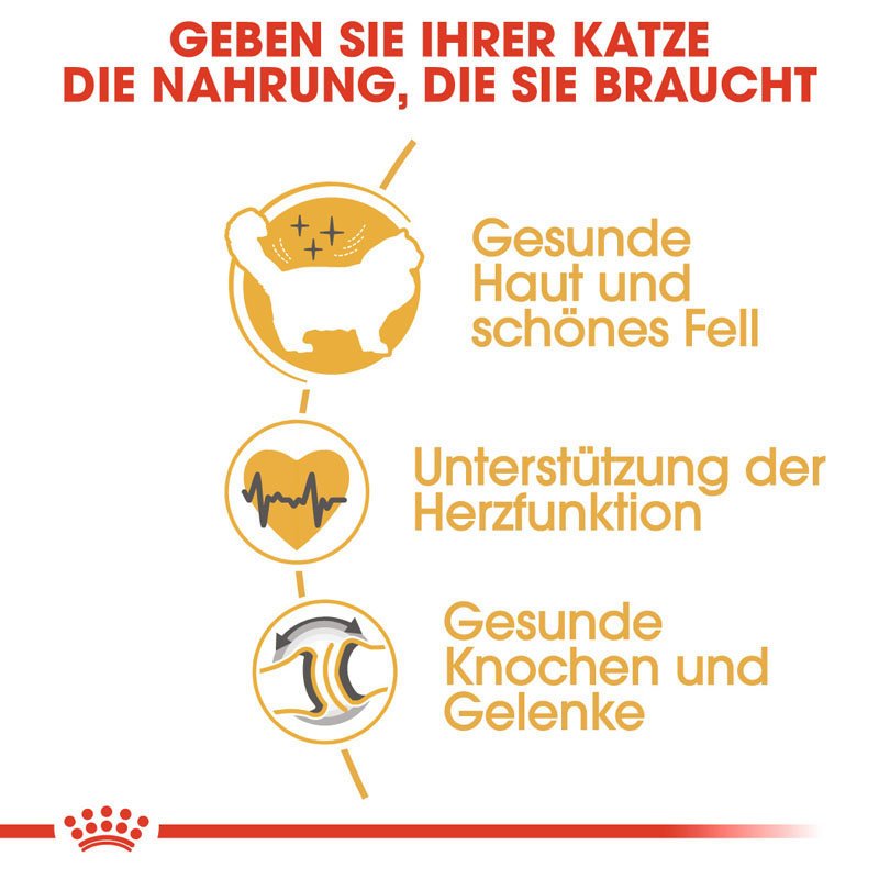 Royal Canin Ragdoll Adult Katzenfutter trocken Bild 3