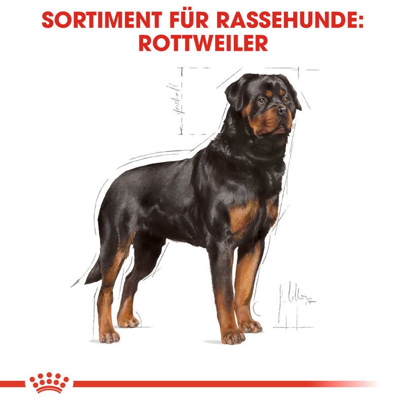 Royal Canin Rottweiler Adult Hundefutter trocken Bild 4