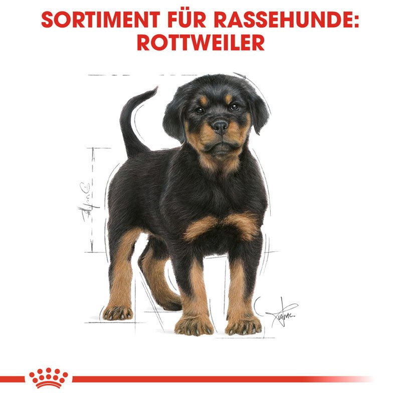 Royal Canin Rottweiler Puppy  Hunde Welpenfutter trocken Bild 4