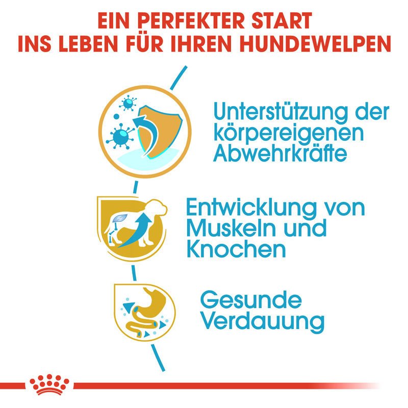 Royal Canin Rottweiler Puppy  Hunde Welpenfutter trocken Bild 3