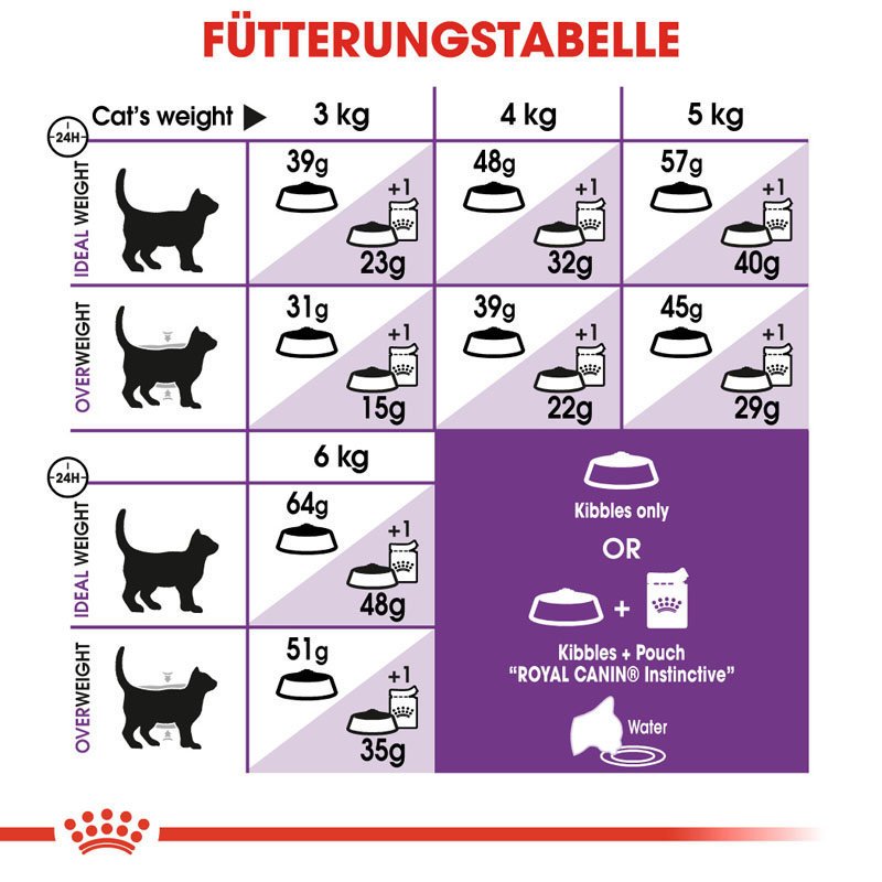 Royal Canin Regular Sensible Katzenfutter für sensible Katzen Bild 6