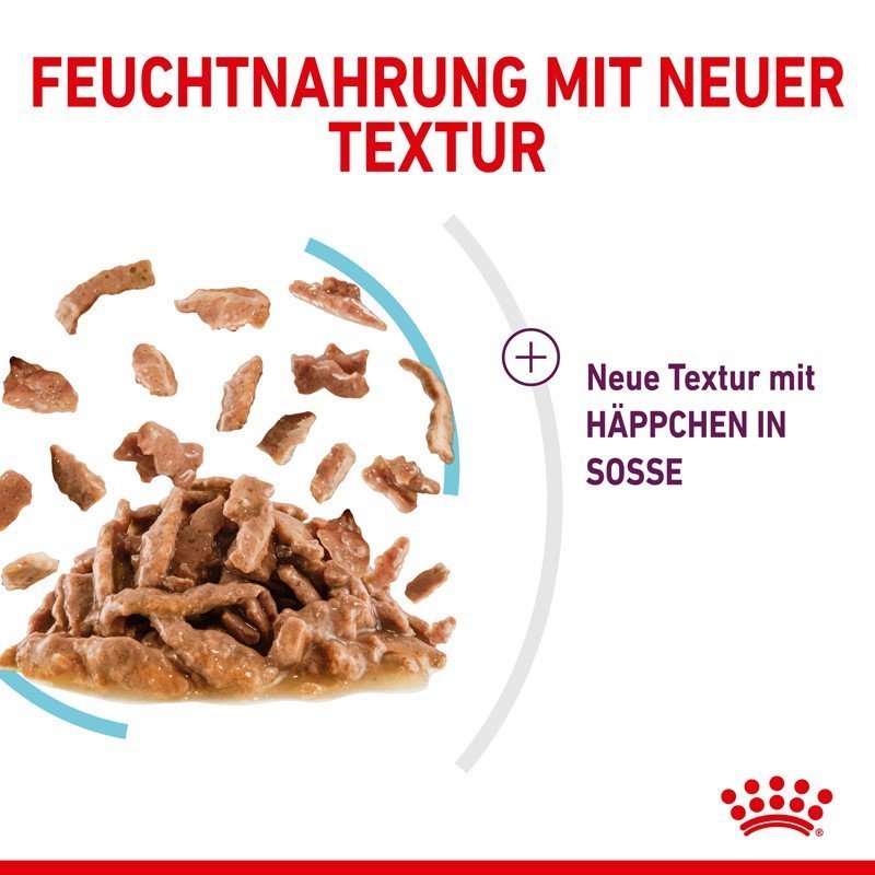 Sensory Feel Stimulation Katzen Nass Futter Bild 5