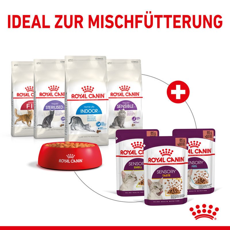 Sensory Feel Stimulation Katzen Nass Futter Bild 7