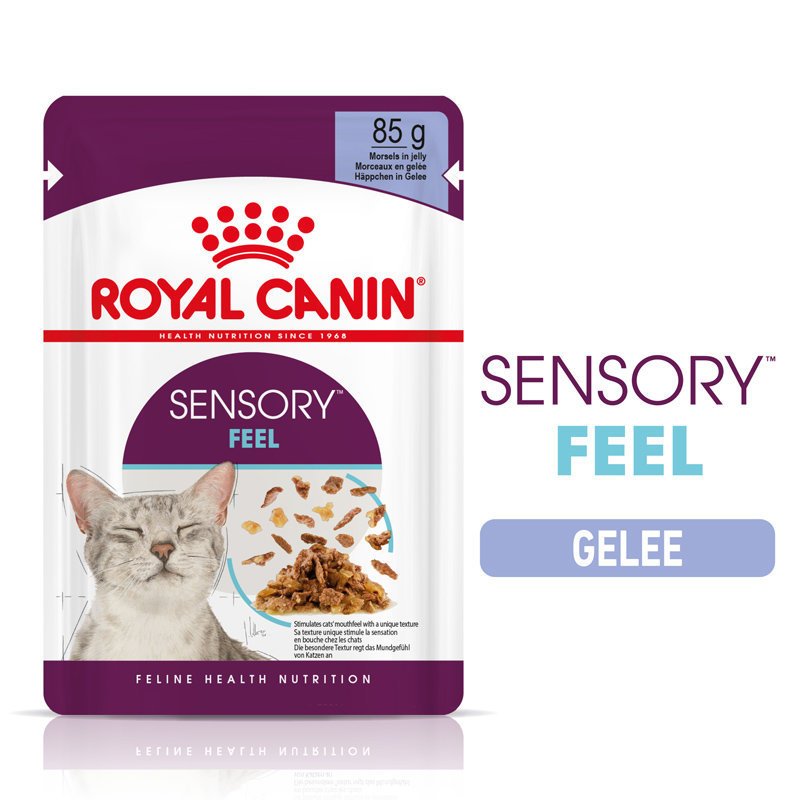 Sensory Feel Stimulation Katzen Nass Futter Bild 10