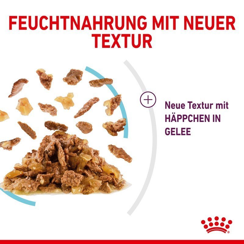 Sensory Feel Stimulation Katzen Nass Futter Bild 11