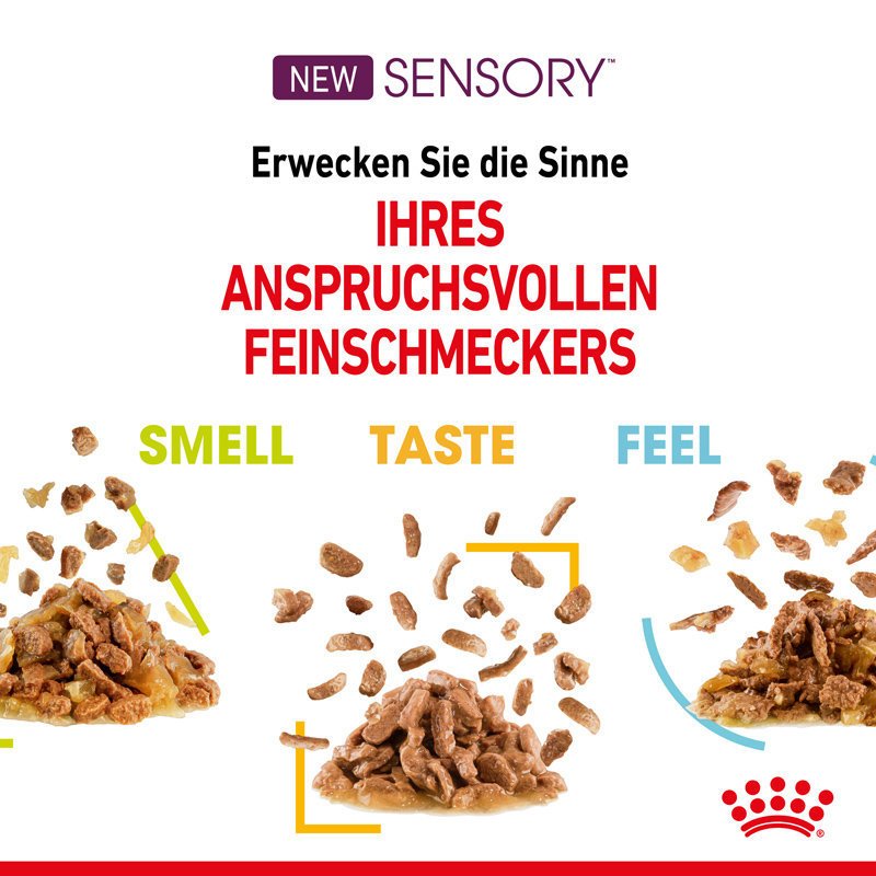 Sensory Stimulation Multi Pack Bild 3
