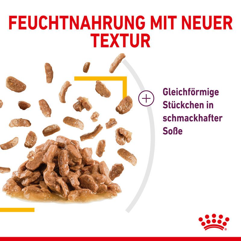 Sensory Taste Stimulation Katzen Nassfutter Bild 5