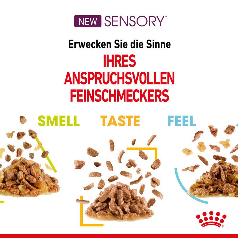 Sensory Taste Stimulation Katzen Nassfutter Bild 4