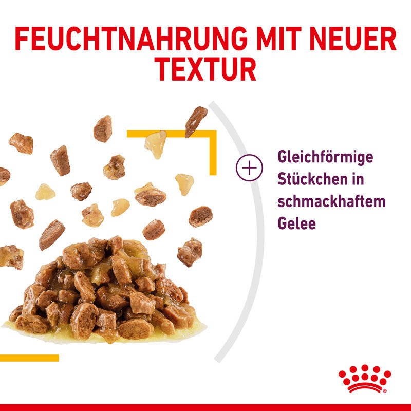 Sensory Taste Stimulation Katzen Nassfutter Bild 12
