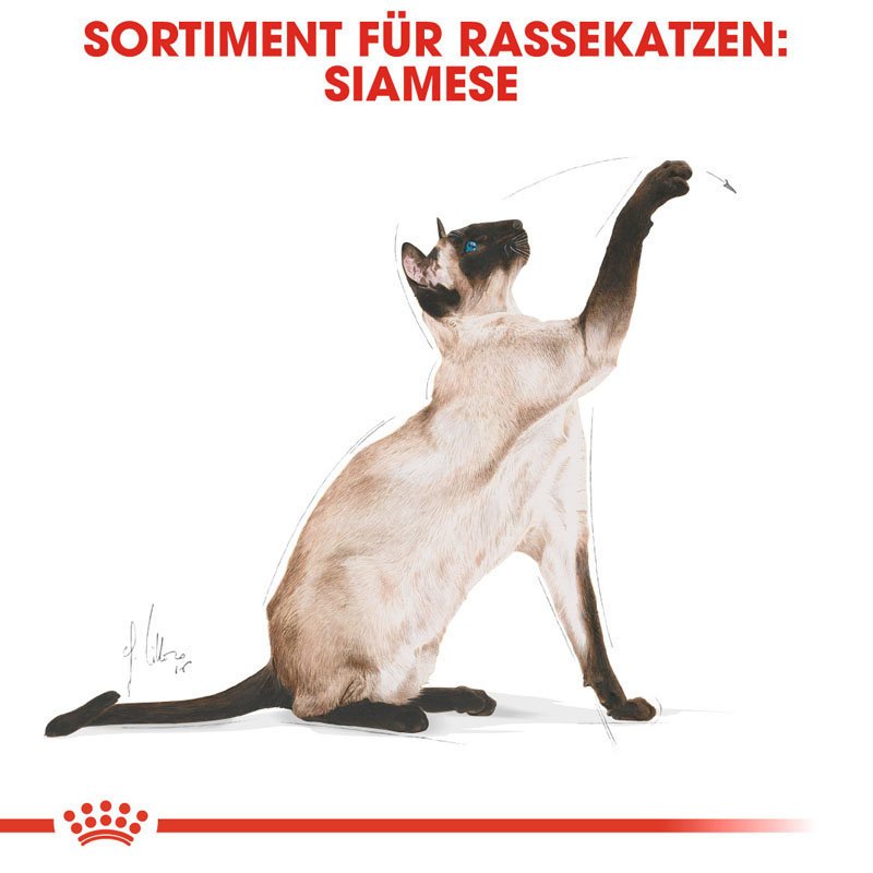 Royal Canin Siamese Adult Katzenfutter trocken Bild 3