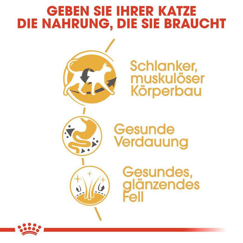 Royal Canin Siamese Adult Katzenfutter trocken Bild 5