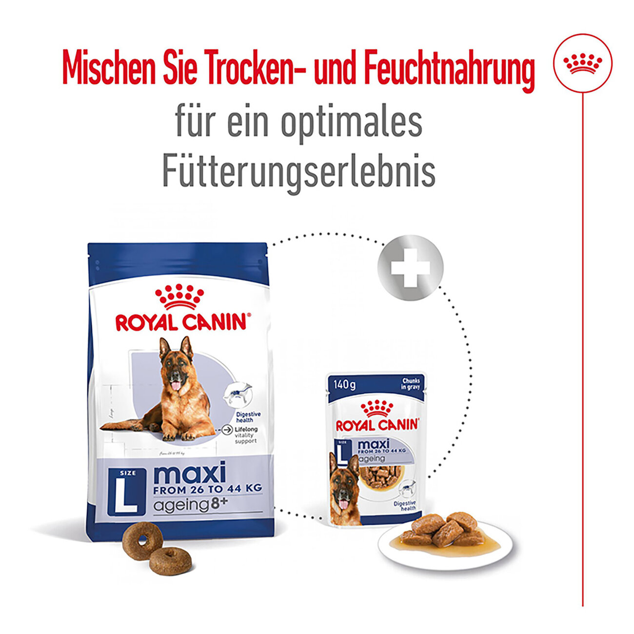 Royal Canin Size Maxi Ageing 8+ Trockenfutter für ältere große Hunde Bild 2