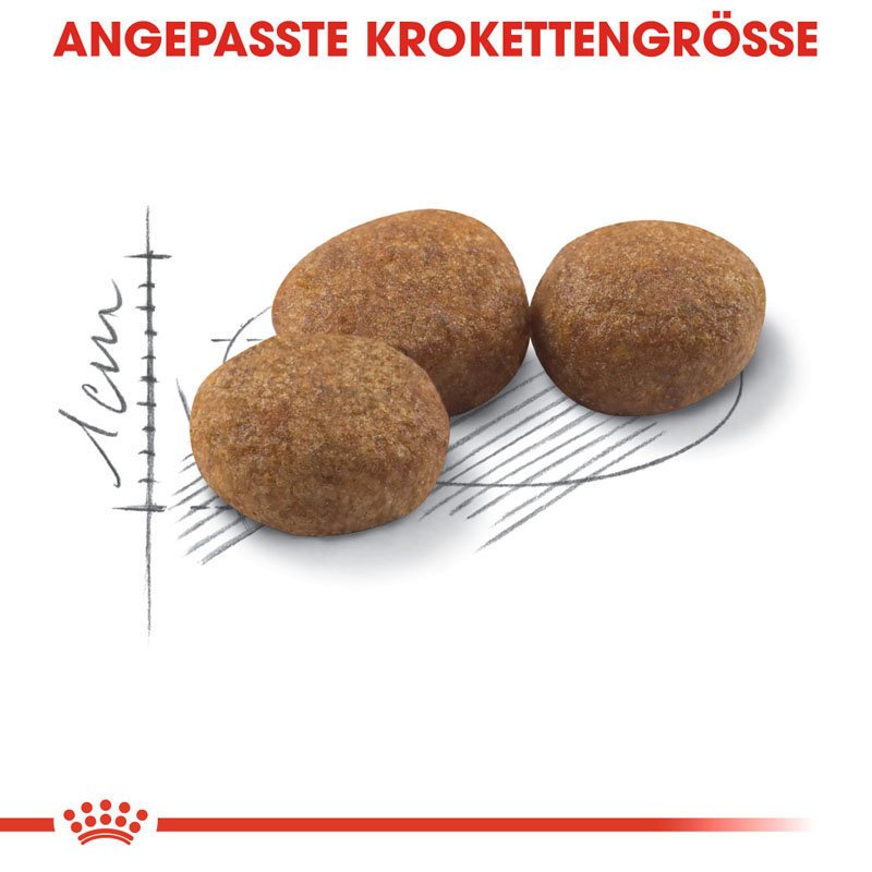 Royal Canin Sterilised Trockenfutter für kastrierte Katzen Bild 4