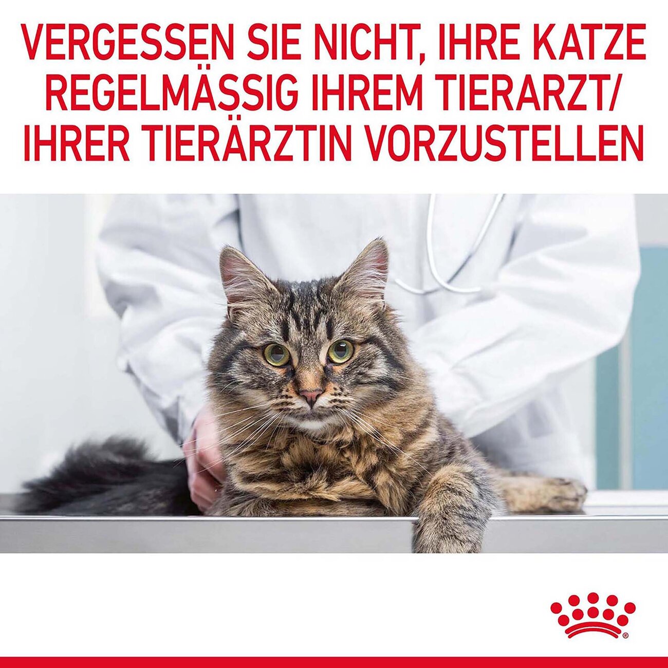 Royal Canin Urinary Care Katzenfutter trocken für gesunde Harnwege Bild 10