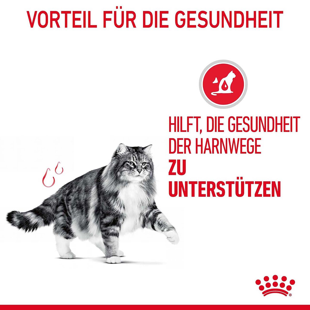 Royal Canin Urinary Care Katzenfutter trocken für gesunde Harnwege Bild 5