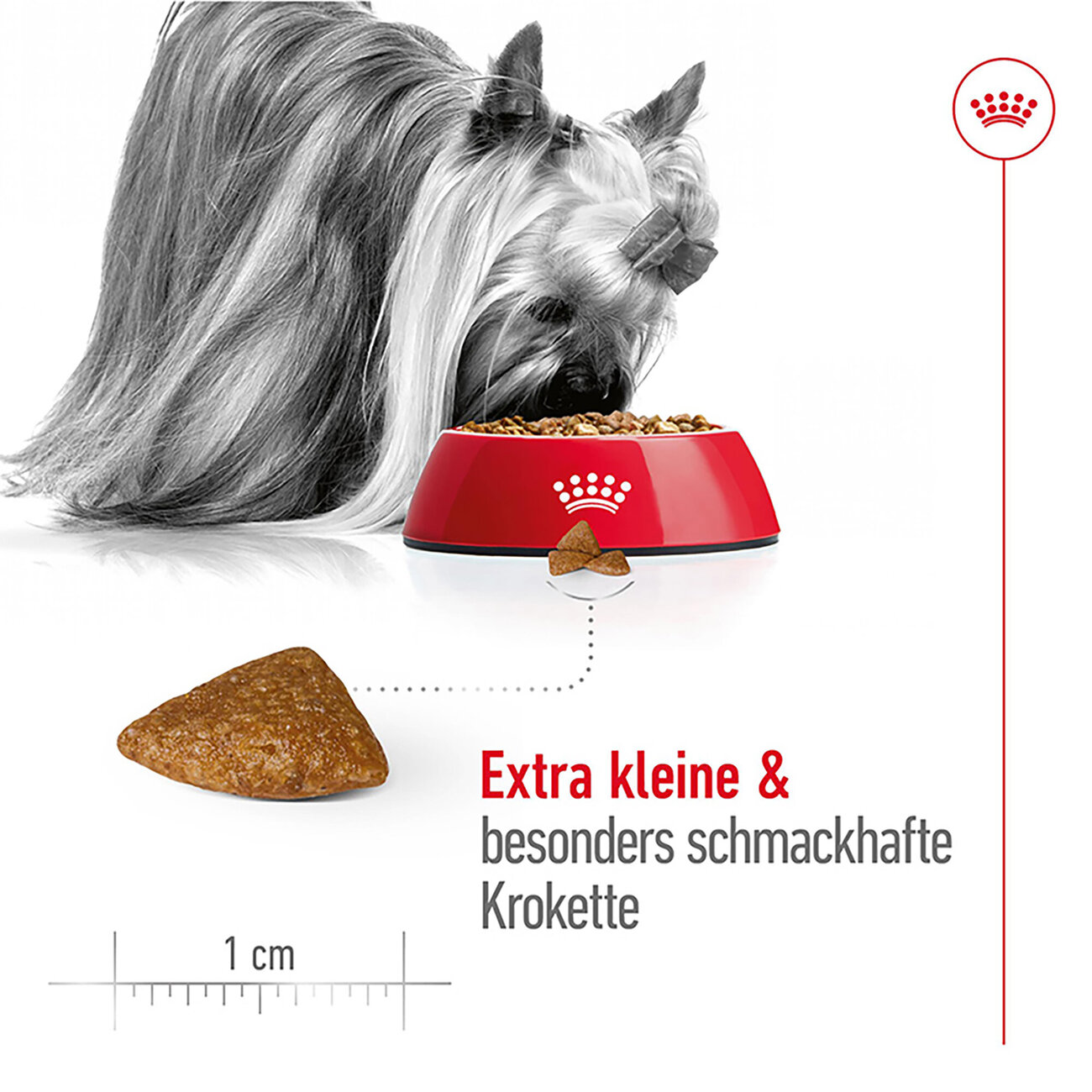 Royal Canin X-Small Adult 8+ Trockenfutter für ältere sehr kleine Hunde Bild 3