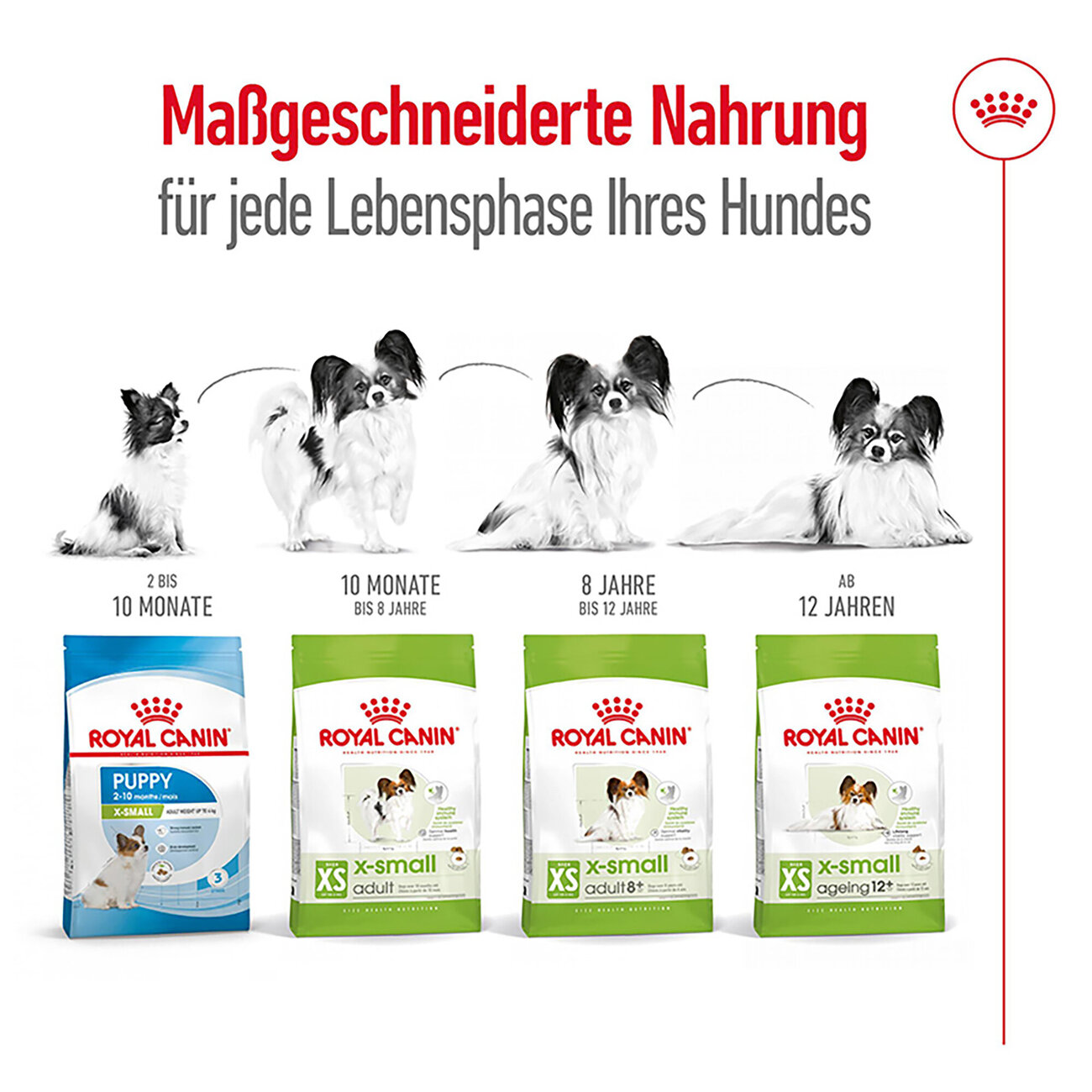 Royal Canin X-Small Ageing 12+ Trockenfutter für ältere sehr kleine Hunde Bild 2
