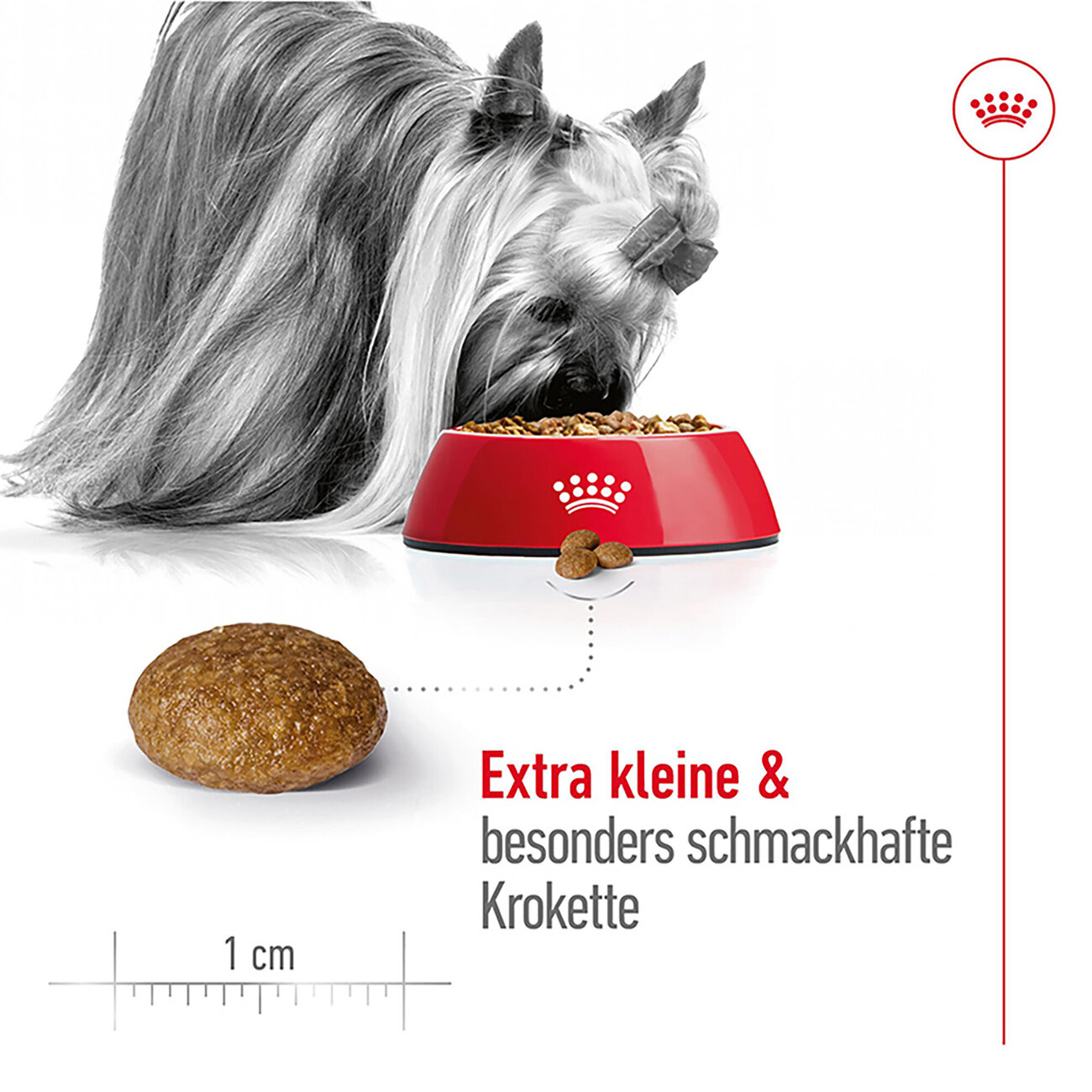 Royal Canin X-Small Ageing 12+ Trockenfutter für ältere sehr kleine Hunde Bild 4