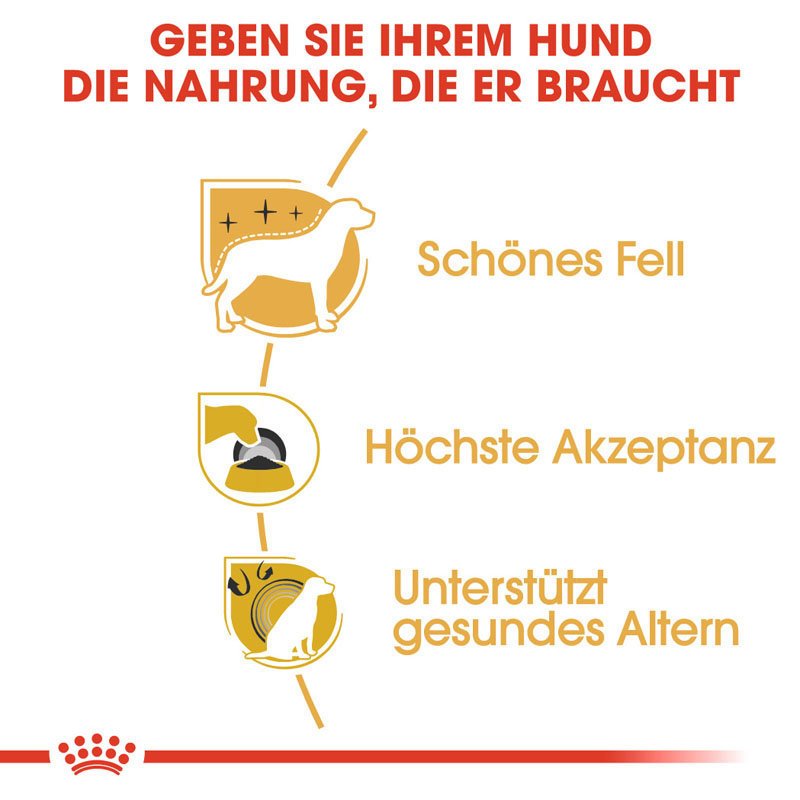 Royal Canin Yorkshire Terrier Adult Hundefutter trocken Bild 3