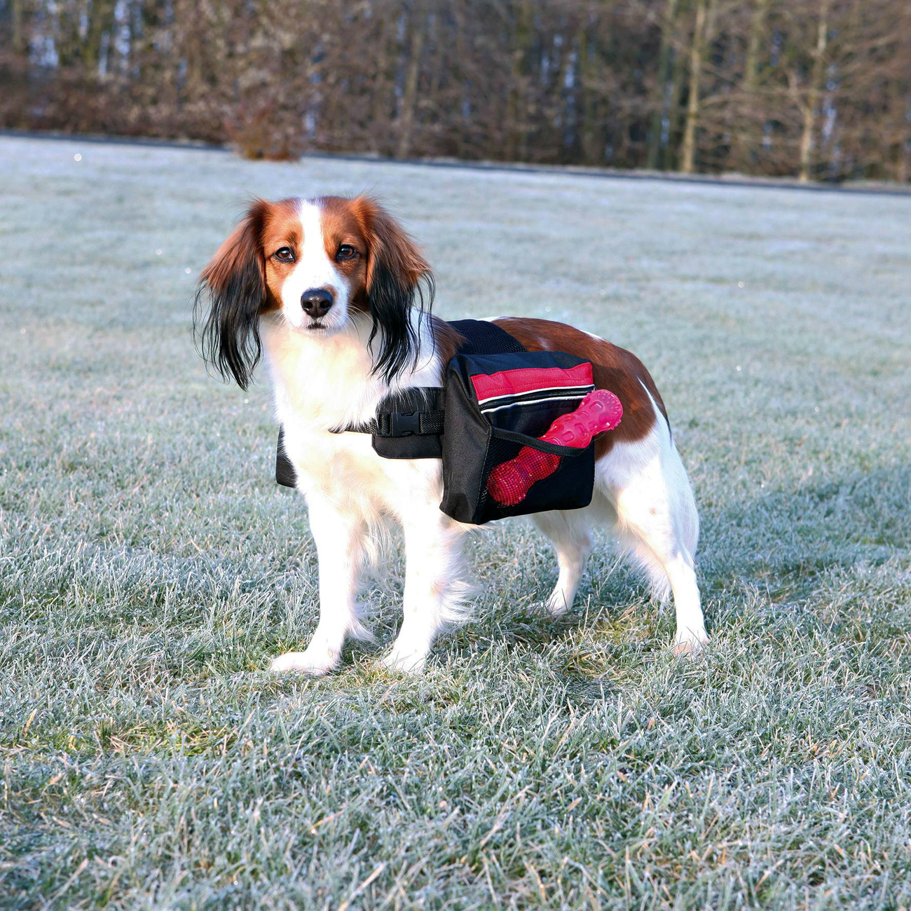 Rucksack für Hunde, schwarz Bild 1