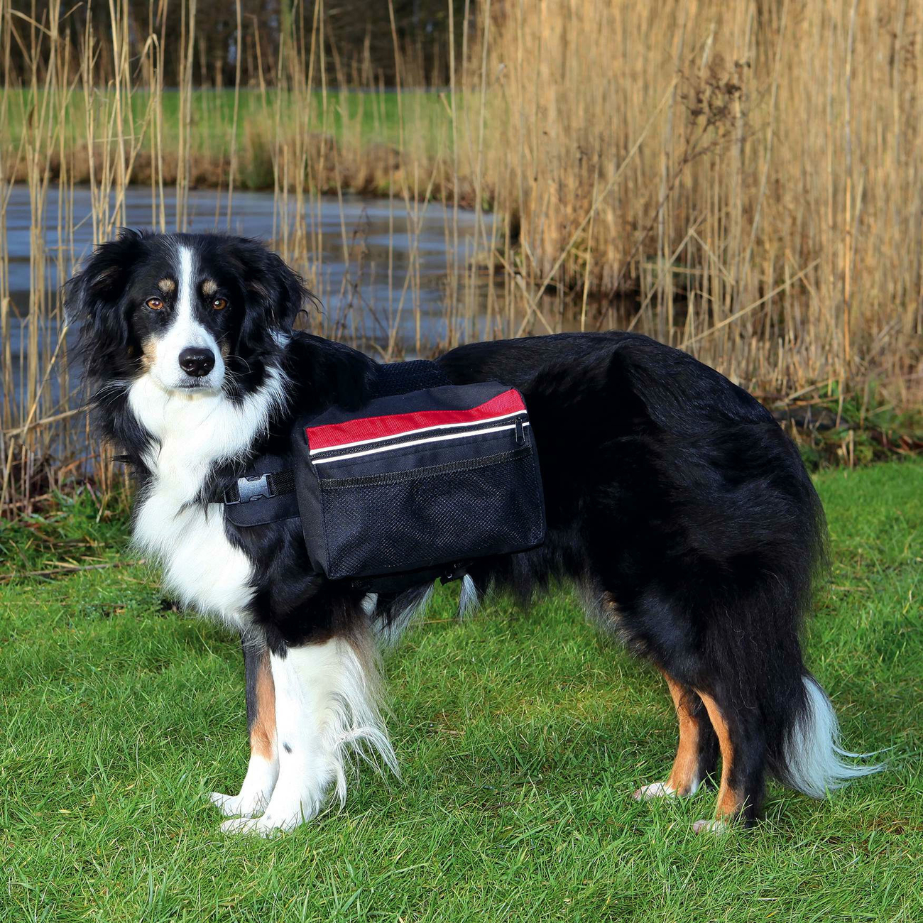 Rucksack für Hunde, schwarz Bild 2