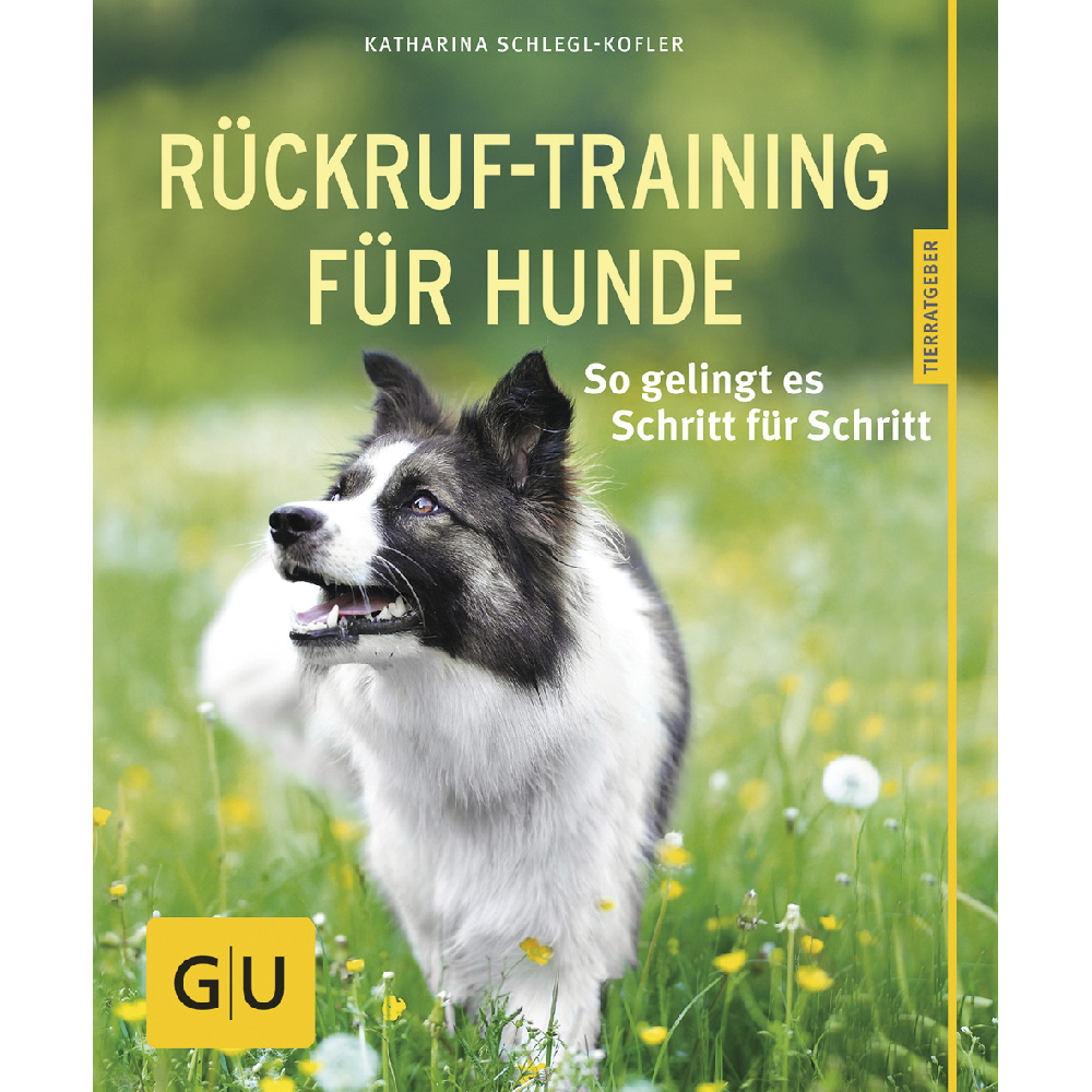 Rückruf-Training für Hunde Bild 1