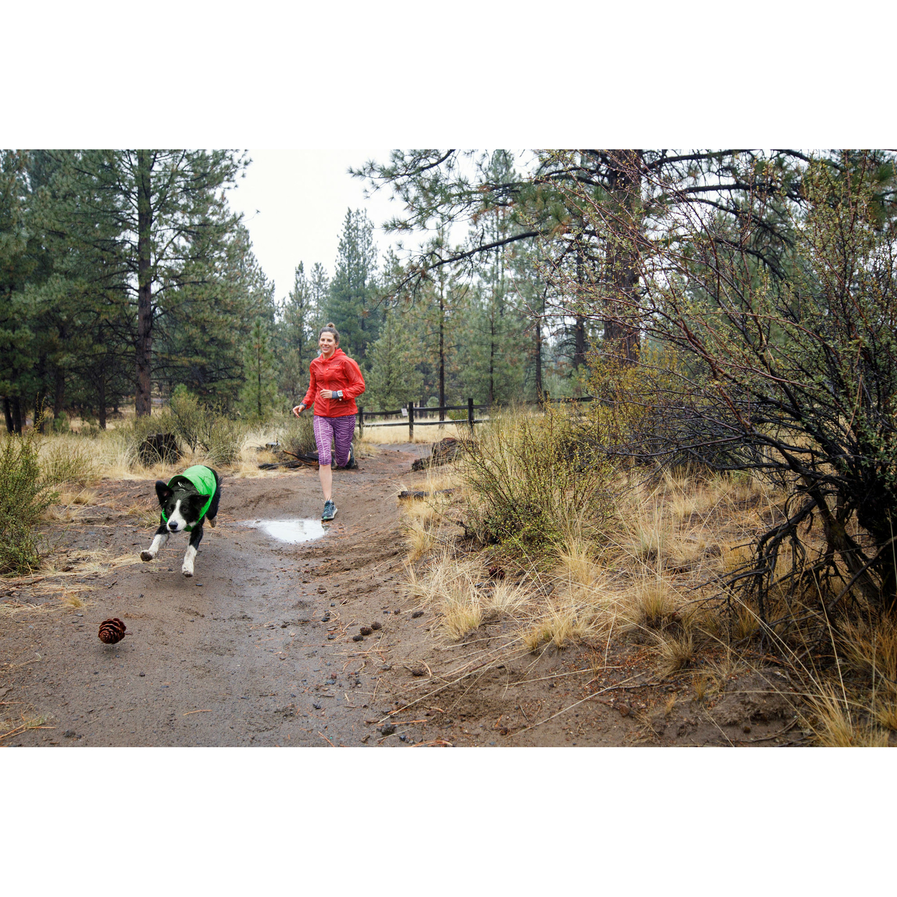 Ruffwear Sun Shower Regenjacke für Hunde Bild 12