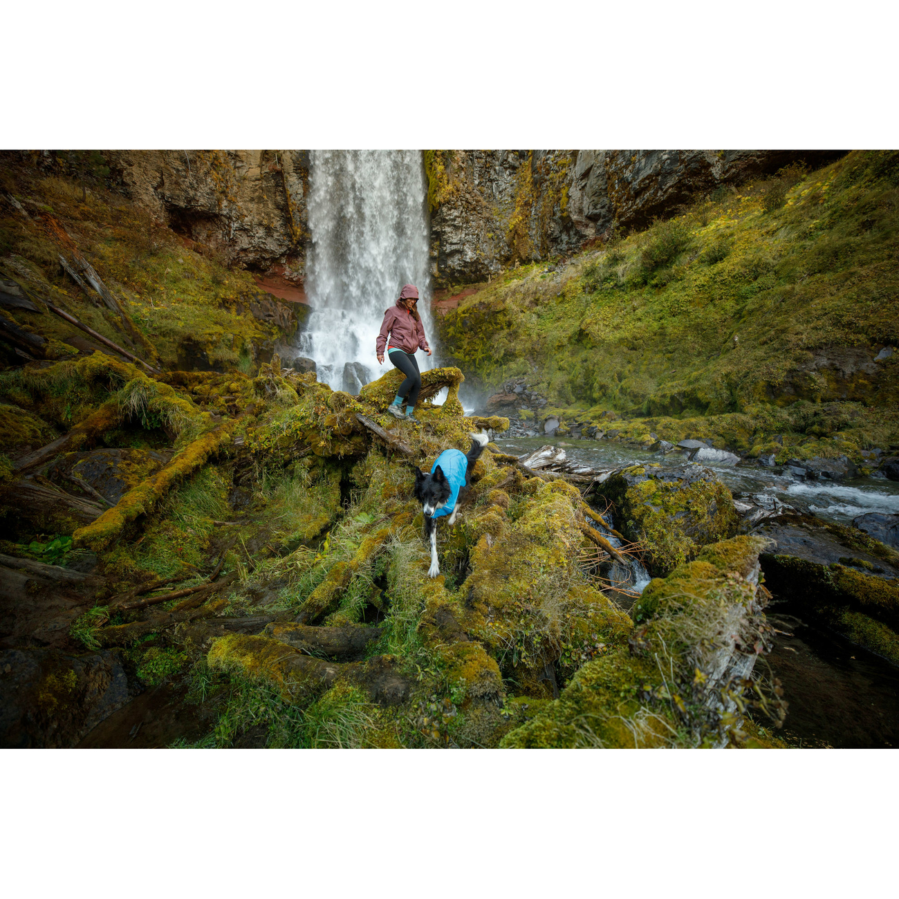 Ruffwear Sun Shower Regenjacke für Hunde Bild 13