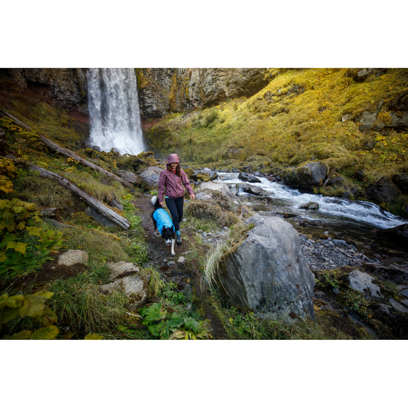 Ruffwear Sun Shower Regenjacke für Hunde Bild 17