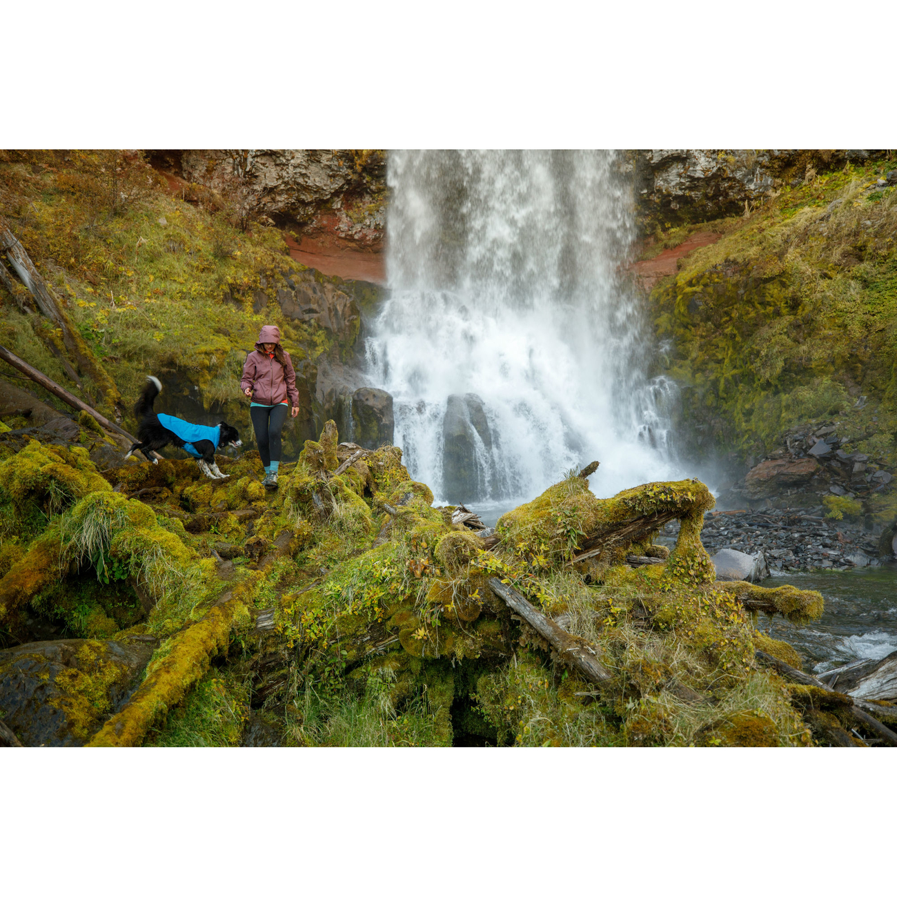 Ruffwear Sun Shower Regenjacke für Hunde Bild 22