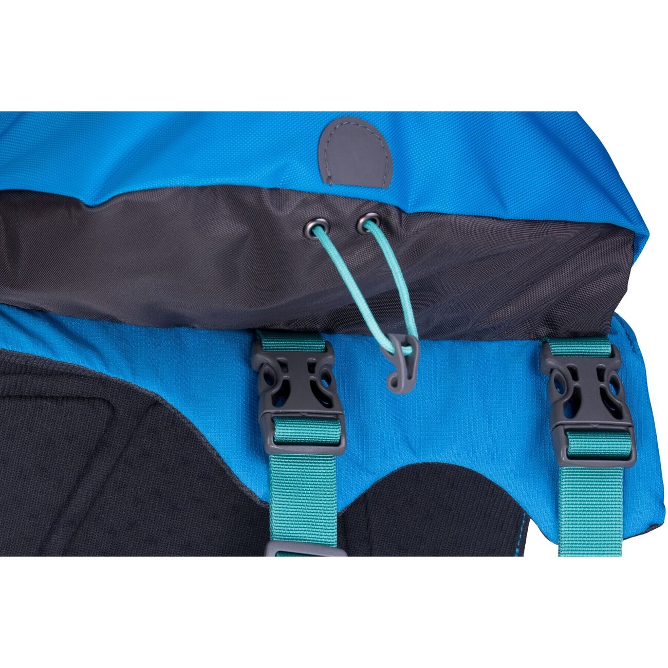 Ruffwear Approach Pack Hunderucksack Bild 34