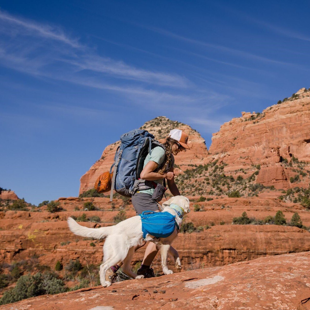 Ruffwear Approach Pack Hunderucksack Bild 23