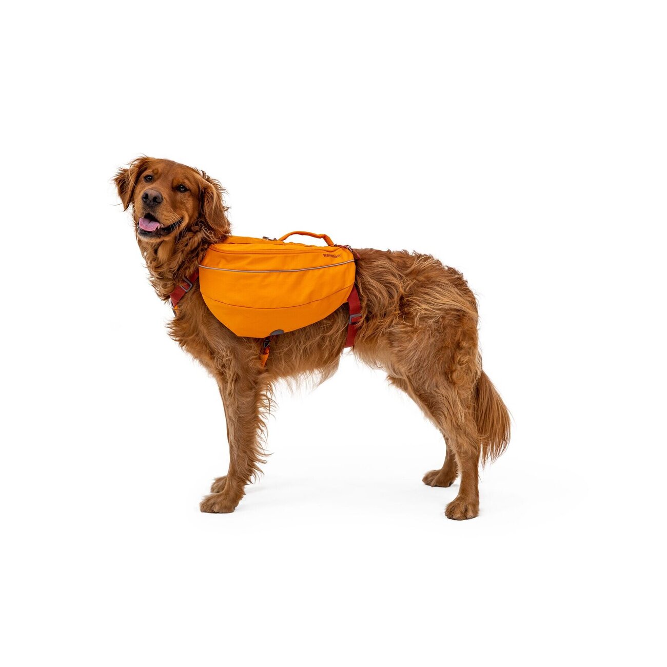 Ruffwear Approach Pack Hunderucksack Bild 5