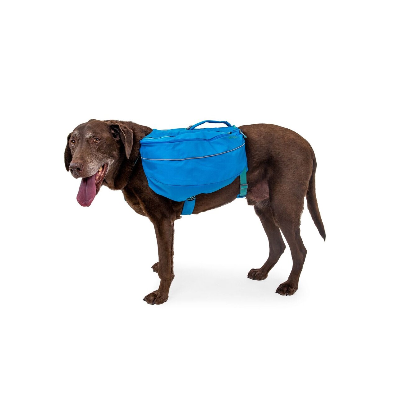 Ruffwear Approach Pack Hunderucksack Bild 21