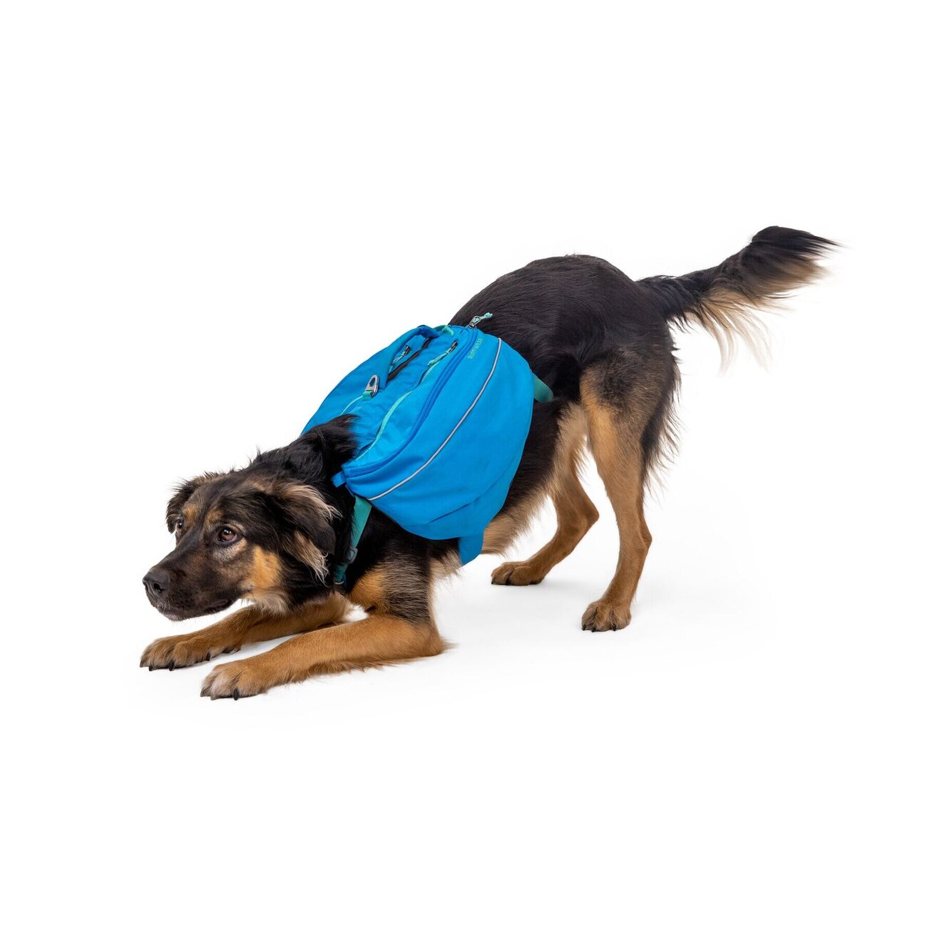Ruffwear Approach Pack Hunderucksack Bild 22