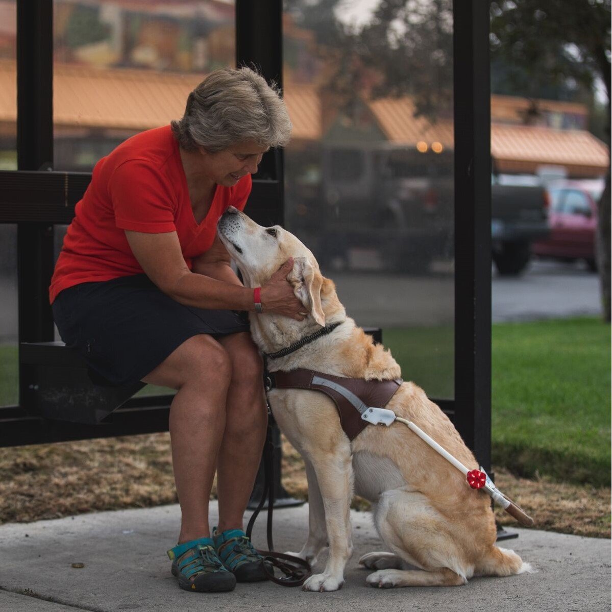 Audible Beacon Sicherheitslicht Bild 2