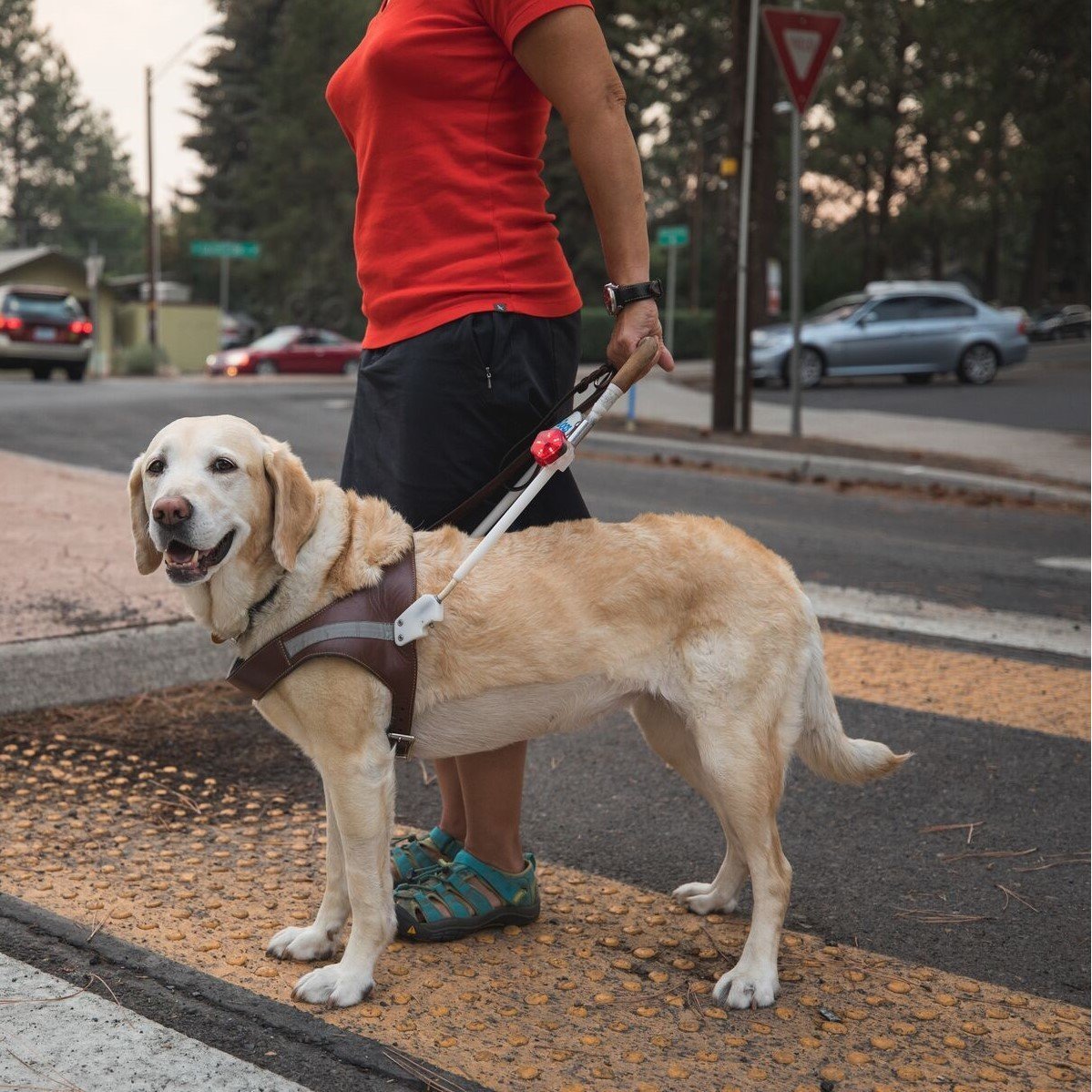 Audible Beacon Sicherheitslicht Bild 9