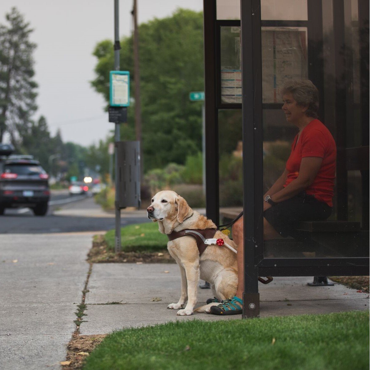 Audible Beacon Sicherheitslicht Bild 10