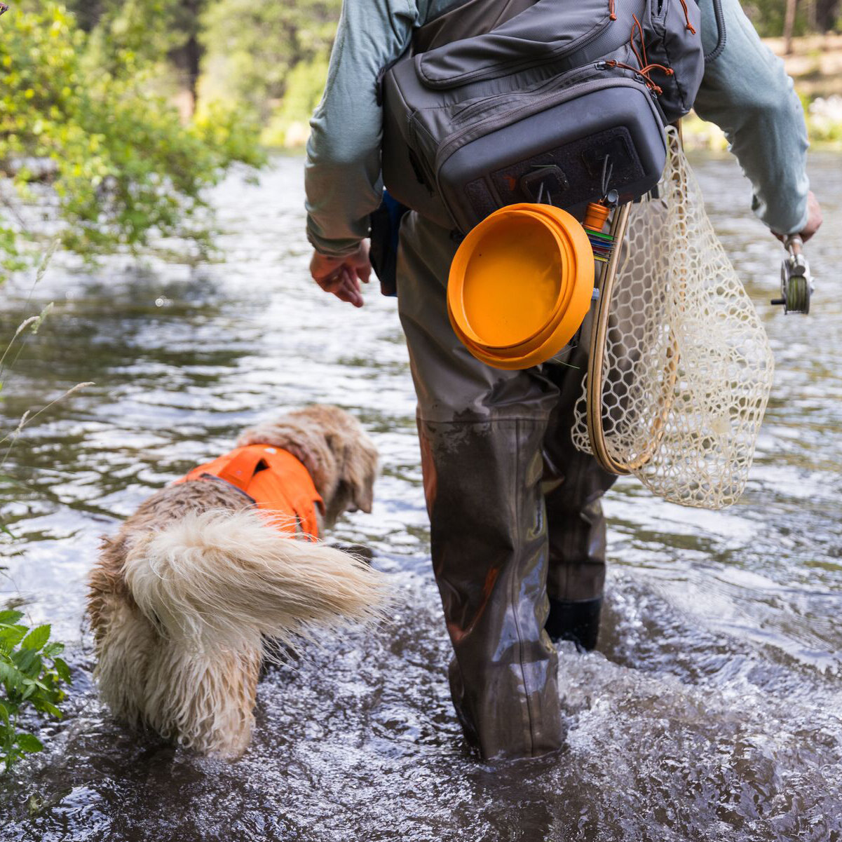 Bivy Bowl Reisenapf für Hunde Bild 5