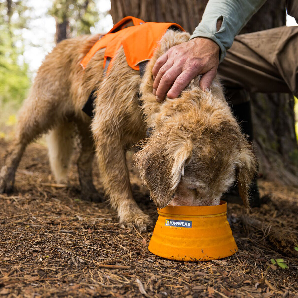 Bivy Bowl Reisenapf für Hunde Bild 2