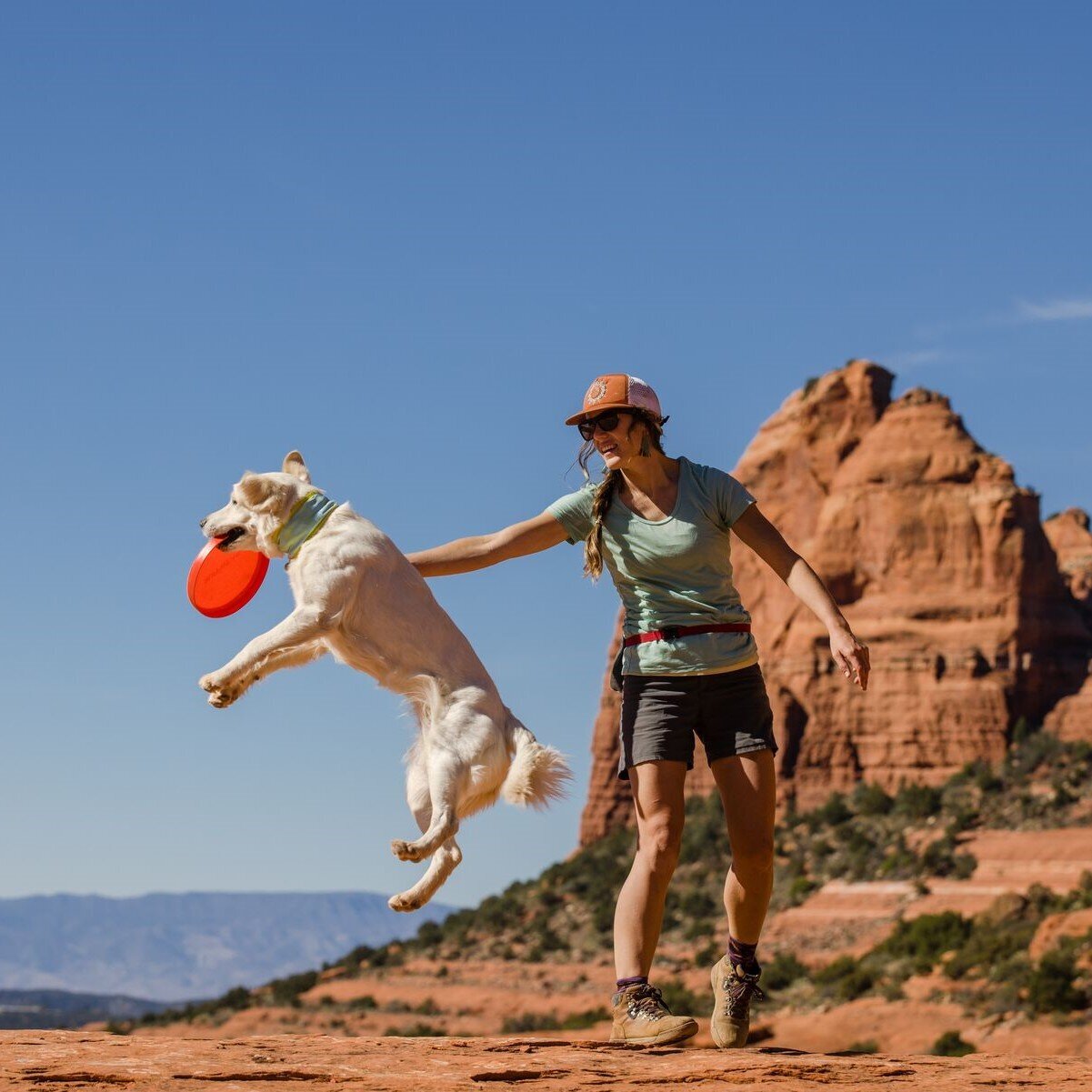 Ruffwear Camp Flyer™ Frisbee Hundespielzeug Bild 2