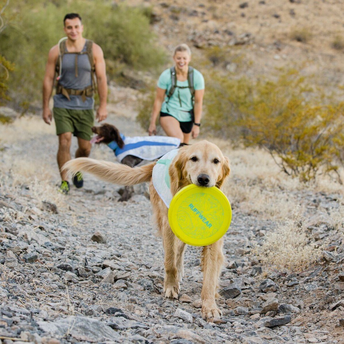 Ruffwear Camp Flyer™ Frisbee Hundespielzeug Bild 5