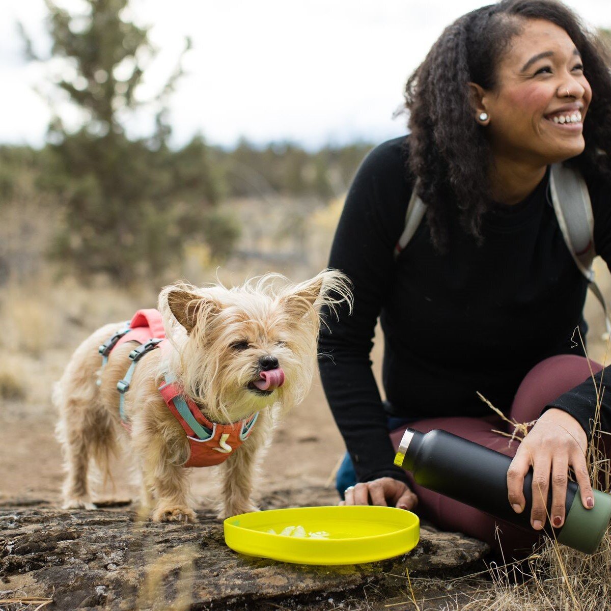 Ruffwear Camp Flyer™ Frisbee Hundespielzeug Bild 7