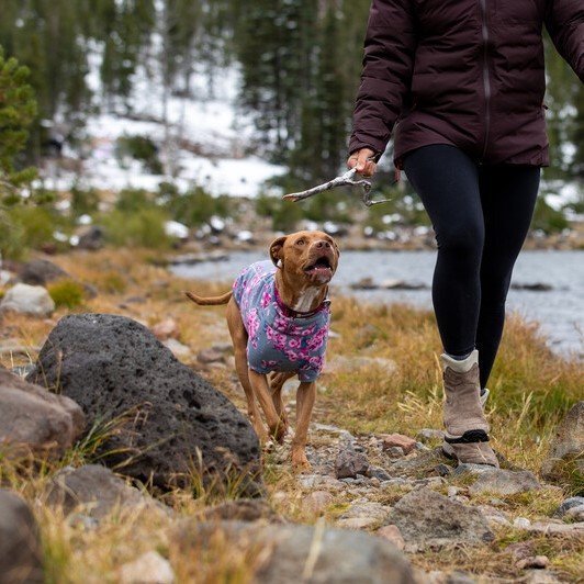 Ruffwear Climate Change Hundejacke aus Fleece Bild 14