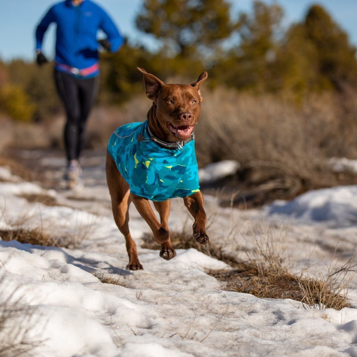 Ruffwear Climate Change Hundejacke aus Fleece Bild 7