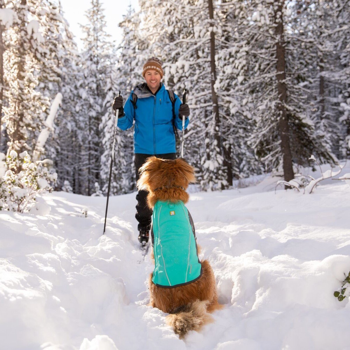 Ruffwear Cloud Chase Soft Shell Jacke für Hunde Bild 6