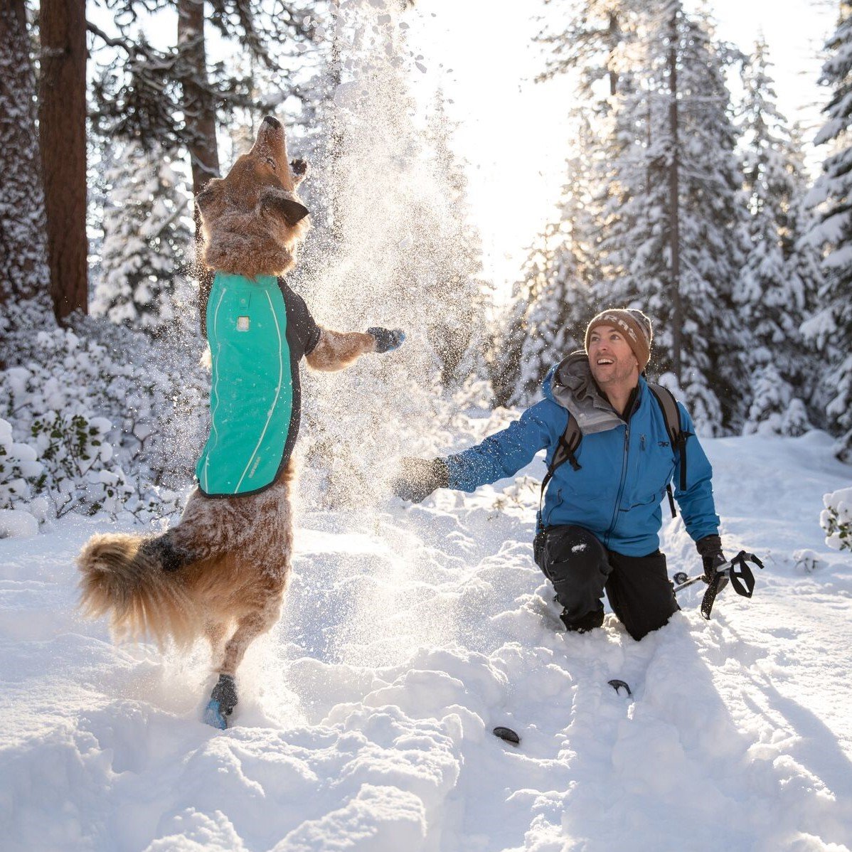 Ruffwear Cloud Chase Soft Shell Jacke für Hunde Bild 2