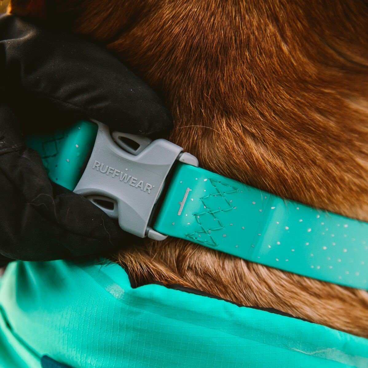 Confluence Waterproof Hunde Halsband Bild 12