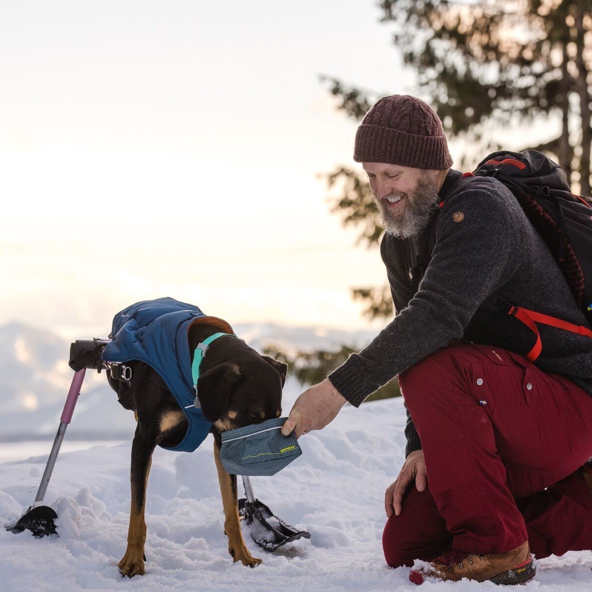 Confluence Waterproof Hunde Halsband Bild 18